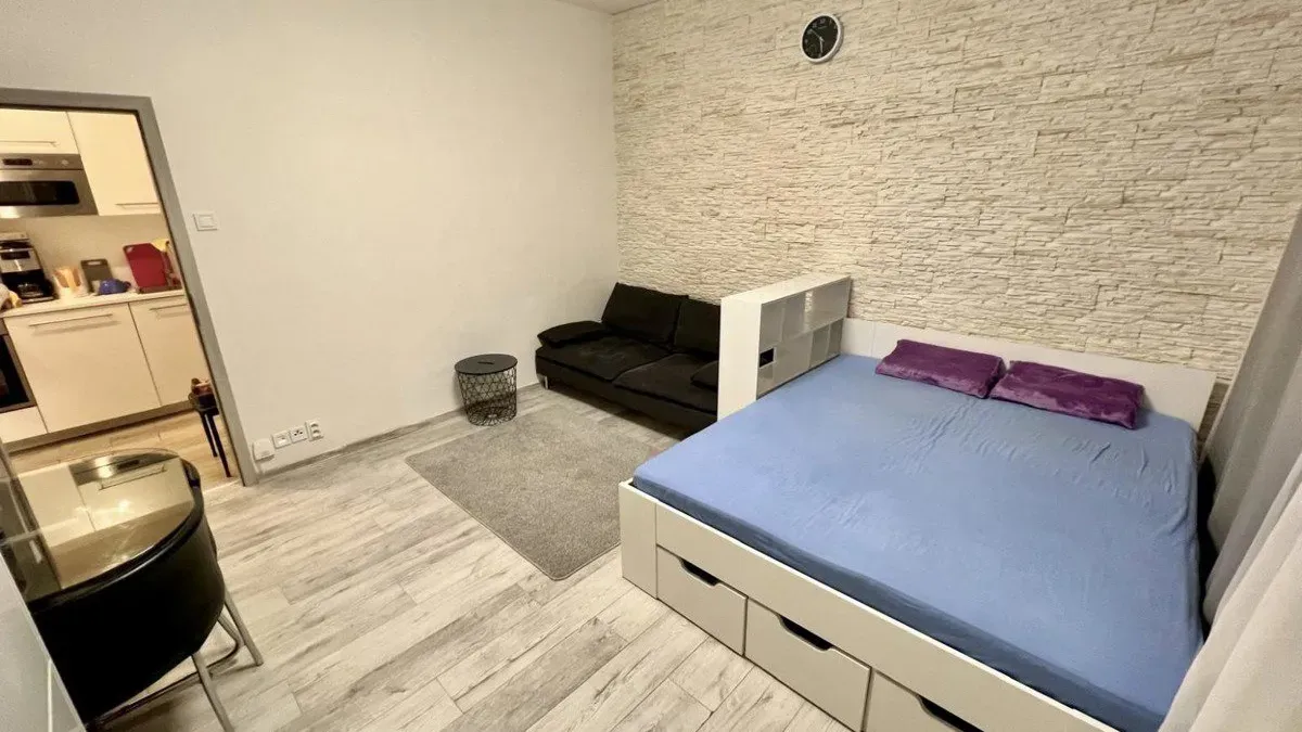 Apartment for Rent · Studio · 36 m² (ID: Krakovska1kk) — 9