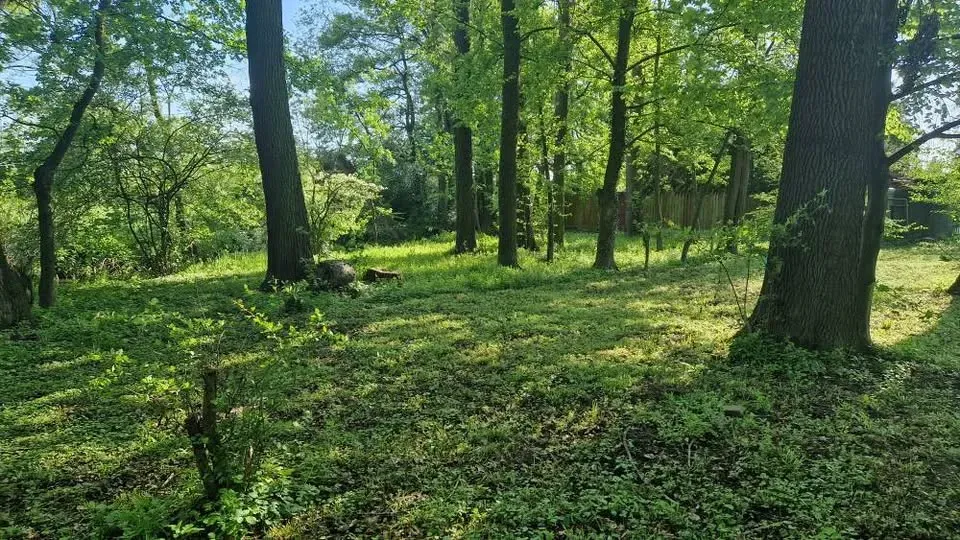 Garden with a caravan — 6