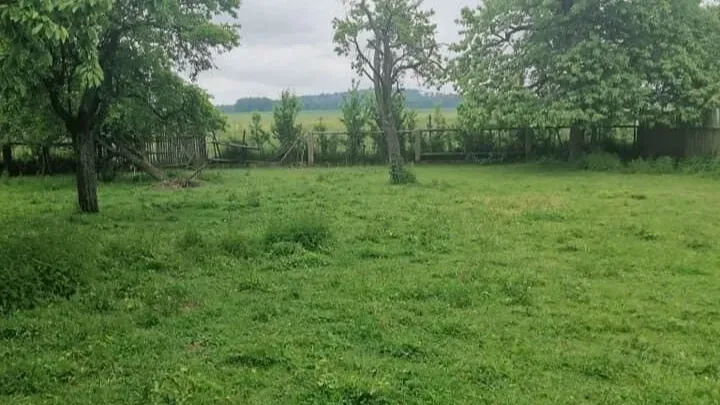 Großes landwirtschaftliches Anwesen, 13 ha Felder und 1,5 ha Wald — 7